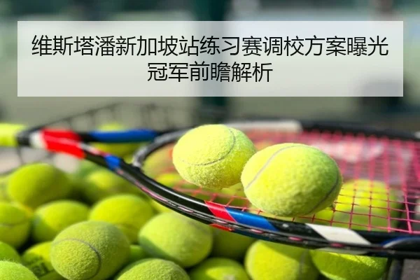 维斯塔潘新加坡站练习赛调校方案曝光 冠军前瞻解析