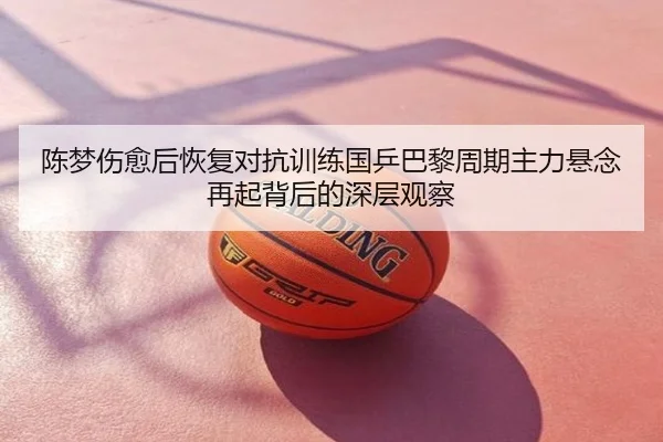 陈梦伤愈后恢复对抗训练国乒巴黎周期主力悬念再起背后的深层观察